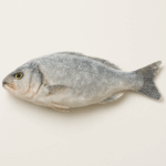 Frozen Iranian Fish