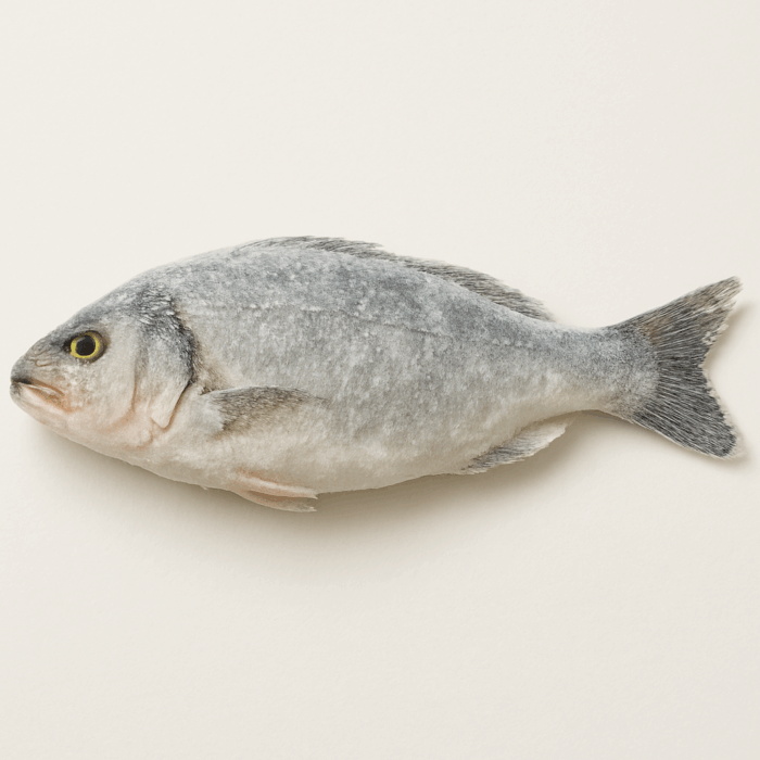 Frozen Iranian Fish