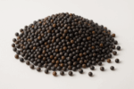 Iranian Rapeseed