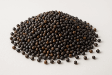 Iranian Rapeseed