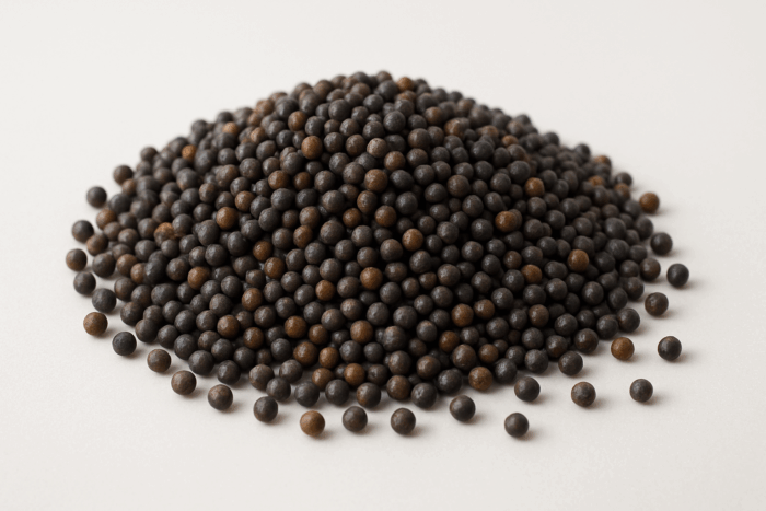 Iranian Rapeseed